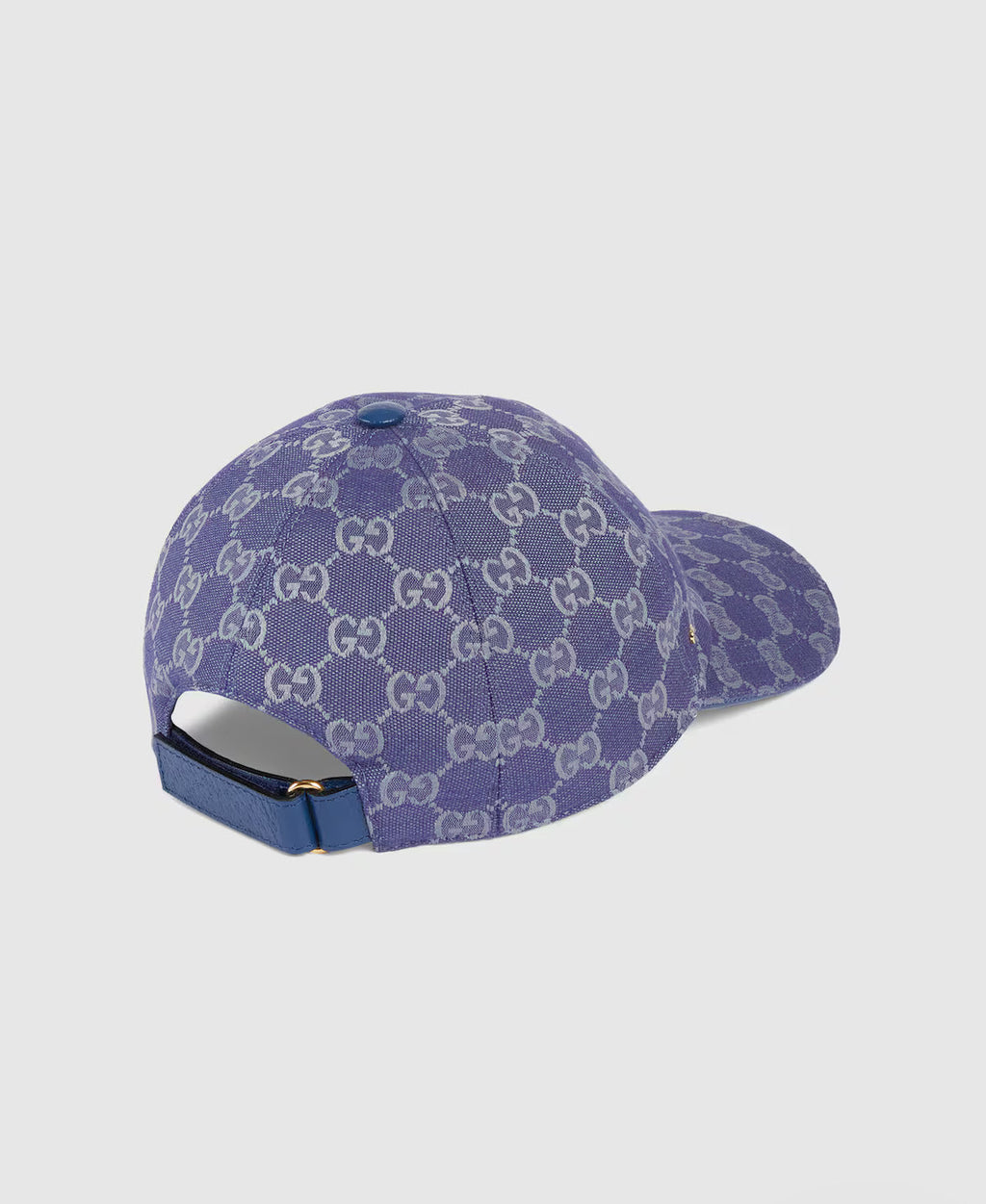 Pet in canvas GG