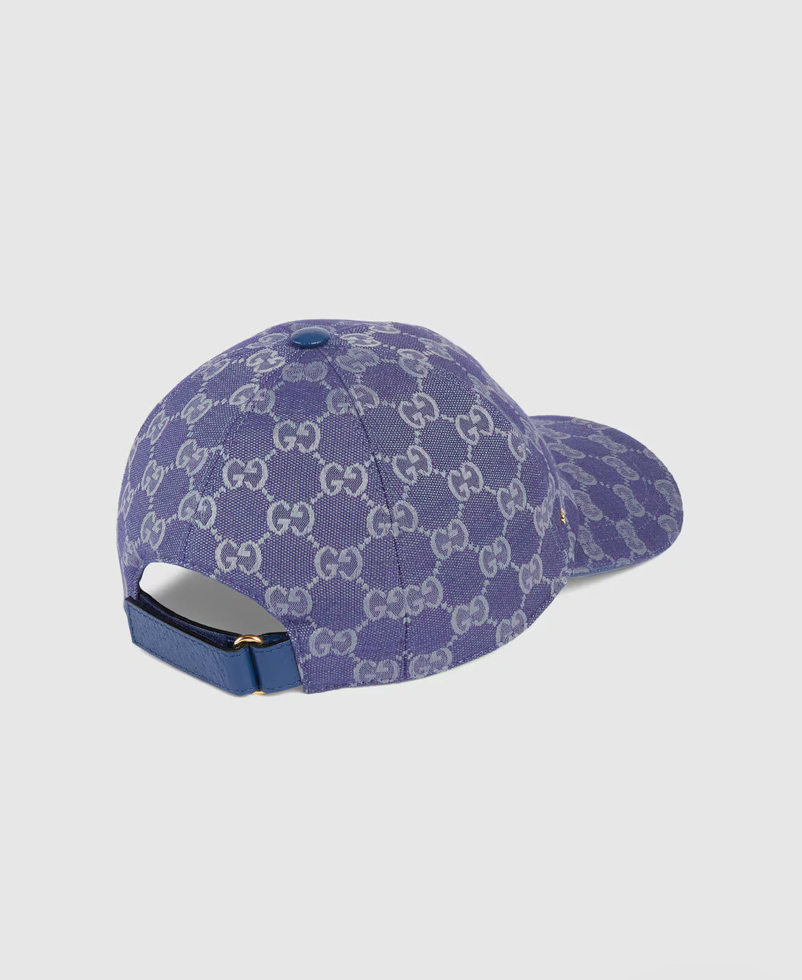 Pet in canvas GG