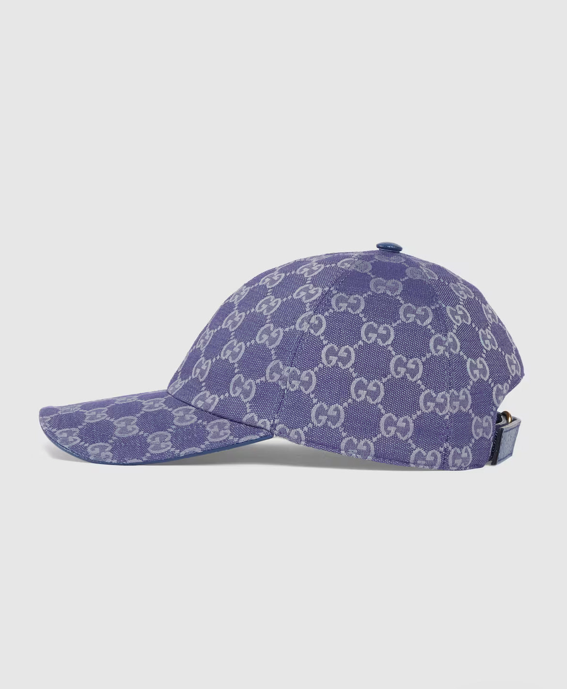 Pet in canvas GG