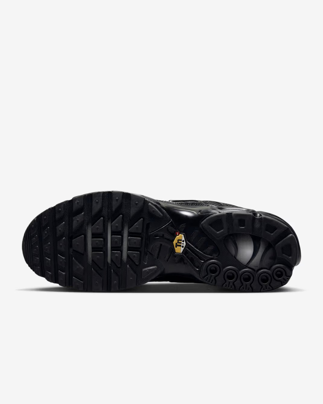 Nike TN Air Max Plus Zwart