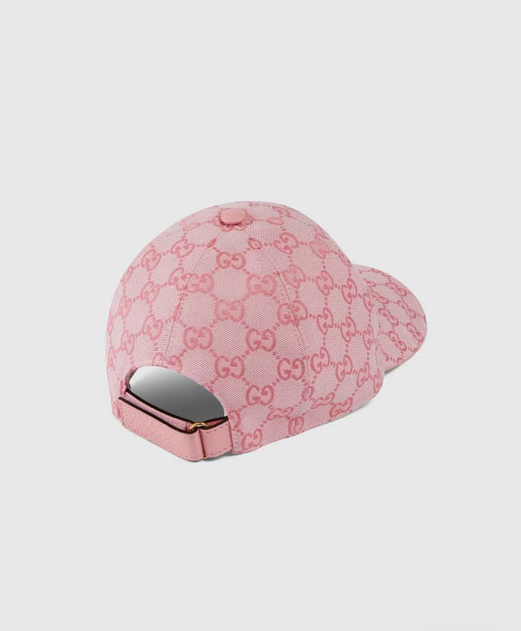Pet in canvas GG