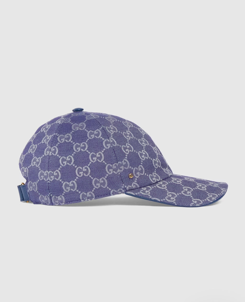 Pet in canvas GG