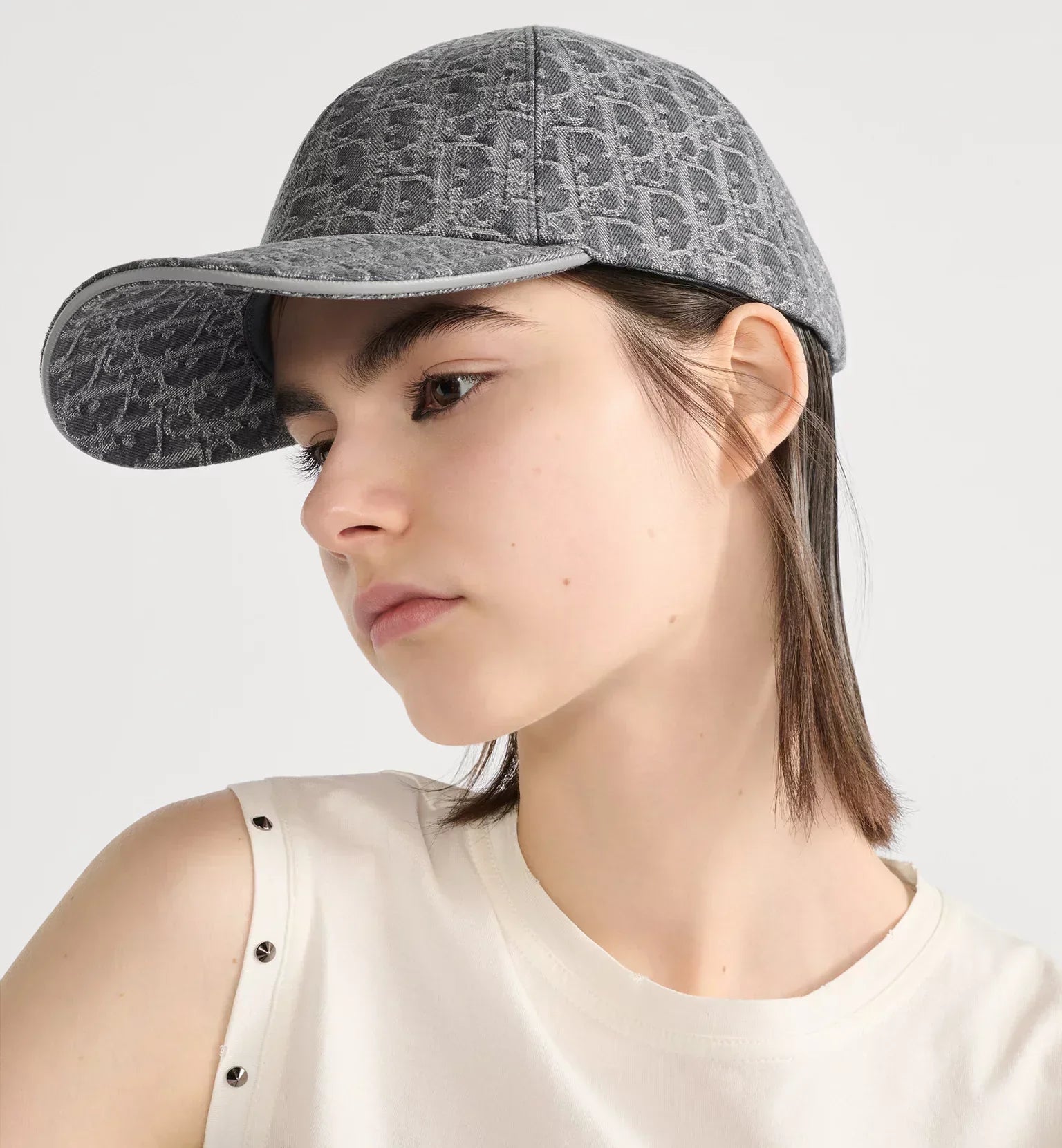 Dior Pet Oblique Grijs